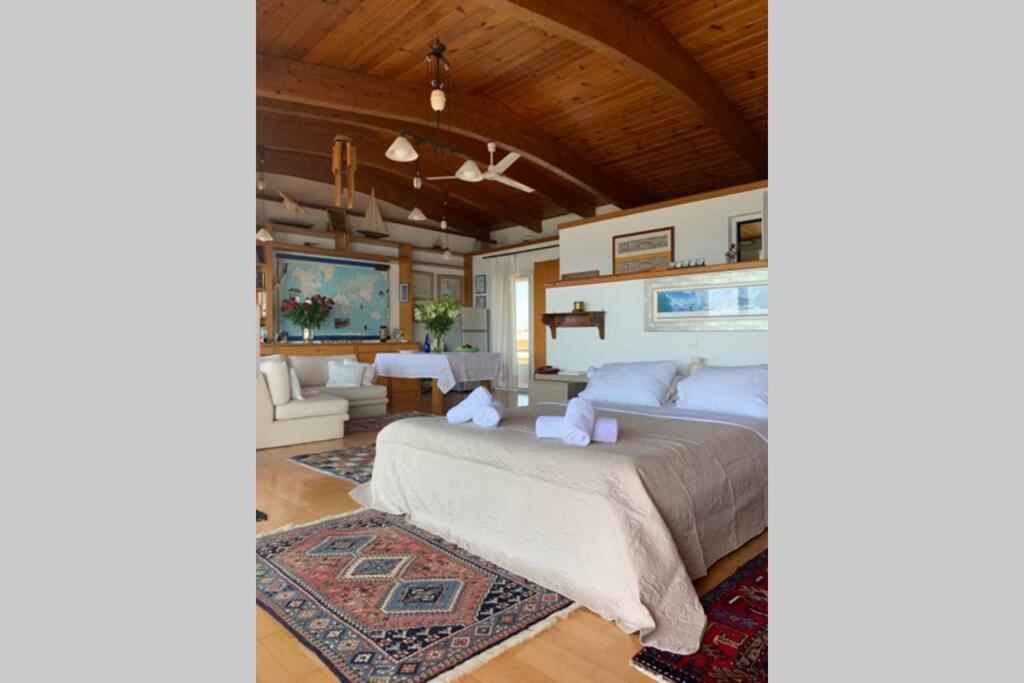 360º Suite With Endless Views To The Ionian Sea มิทิคาส ภายนอก รูปภาพ